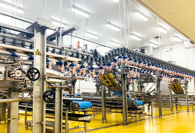 CPV Food's modern chicken processing line. Photo: Thanh Son.
