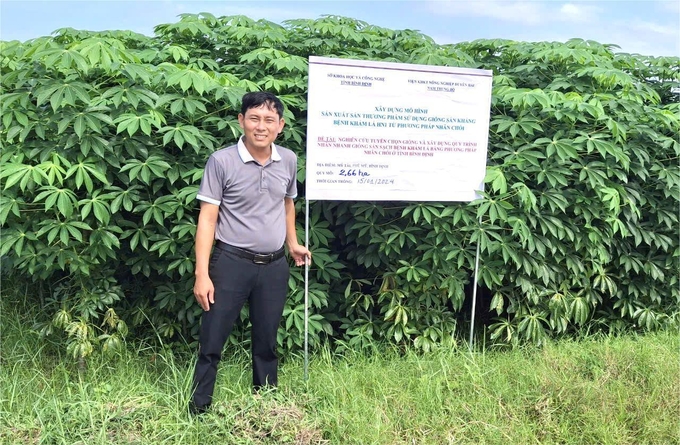 1-094537_788.jpg Mô hình trồng sắn thương phẩm sử dụng giống kháng bệnh khảm lá HN1 bằng phương pháp nhân chồi tại thị xã Hoài Nhơn (Bình Định). Ảnh: V.Đ.T.
