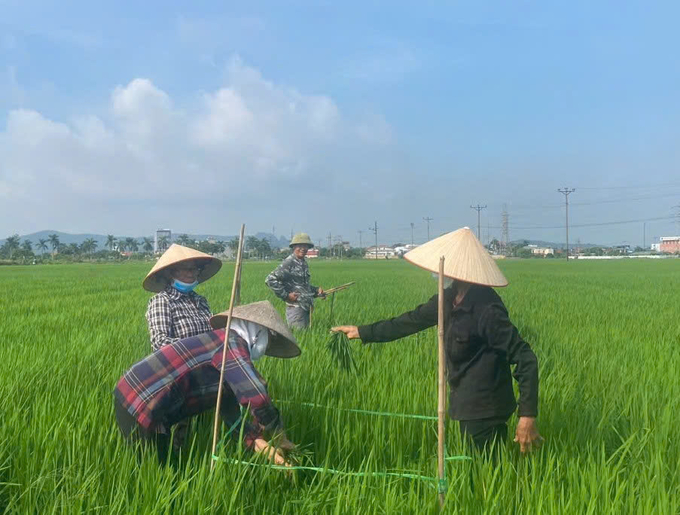 hoc-ipm-nong-dan-quang-ninh-san-xuat-gioi-mua-hat-hay-103929_794.jpg