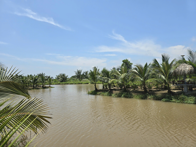sinh-thai-12-212055_271.jpg