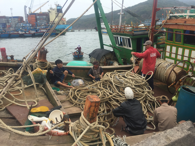 1-190059_324.jpg Tàu cá của ngư dân Bình Định neo bờ để tránh bão số 8. Ảnh: V.Đ.T.