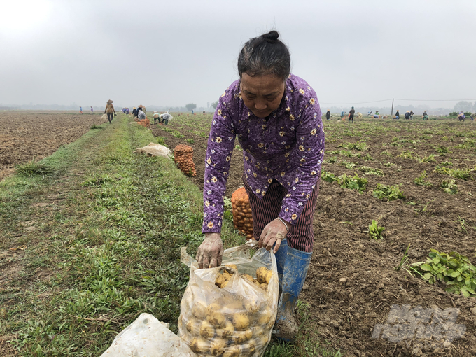 img-5419-230936_13-230938.jpg Các mô hình đã thực hiện góp phần thúc đẩy phát triển sản xuất nông nghiệp hàng hóa gắn liền với chuỗi giá trị... Ảnh: Hưng Giang