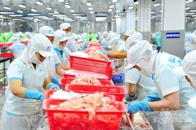 anh-4-145506_649-145507.jpg Sản lượng cá tra năm 2024 ước đạt 1,67 triệu tấn, bằng 99% so cùng kỳ 2023. Tính đến 15/10/2024, xuất khẩu cá tra đạt 1,56 tỷ USD, tăng 8,9% so cùng kỳ năm 2023. Ảnh: Lê Hoàng Vũ.