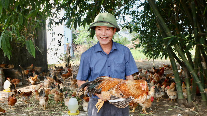 e935fcdad3a268fc31b366-162140_825.jpg Ông Cường đã thành công tìm ra bí quyết nuôi gà khỏe mạnh từ việc ứng dụng khoa học và các chế phẩm từ thiên nhiên. Ảnh: Cường Vũ.