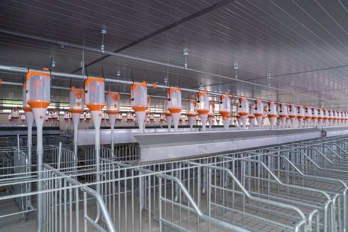 With the cooperation of BigDutchman, the livestock farm of the De Heus - Hung Nhon chain meets international standards.