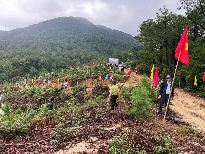 cx1-162114_835.jpg Các lực lượng tham gia trồng cây.
