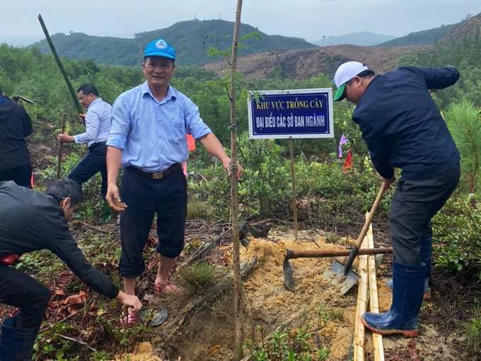 cx2-162017_577.jpg Cán bộ, nhân viên Sở NN-PTNT Thừa Thiên - Huế tham gia trồng cây xanh. Ảnh: CĐ.