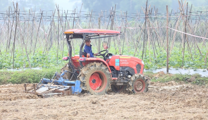 z6050042080526_95e1a8fb45a879063e2c5350e26294fa-101131_50.jpg Áp dụng cơ giới hóa vào canh tác giúp nâng cao rõ rệt giá trị cây trồng vụ đông. Ảnh: Ngọc Linh.