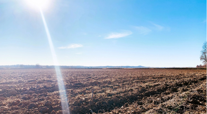 There are surprising economics behind how you look at land in your business balance sheet. Land may technically be 'free' due to appreciation outpacing interest rates, but farmers can't access that value until they sell. They must cover loan payments, limiting cash flow despite building wealth.