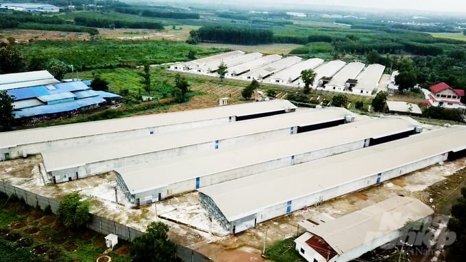 phu02_09_18_19still003-154435_934-154435.jpg Đồng Nai đã đẩy mạnh các hoạt động kiểm tra về môi trường trong chăn nuôi trên địa bàn tỉnh. Ảnh: Minh Sáng.