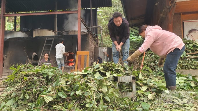 20241108_154525-085648_737-085650.jpg Những xã viên HTX Cộng đồng Dao đỏ chế biến cây thuốc làm thuốc tắm người Dao.