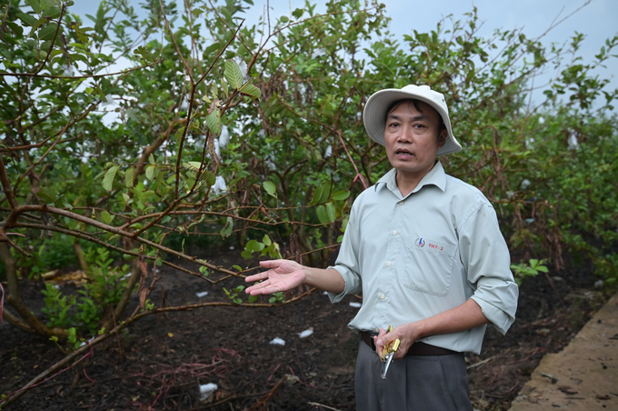 hai-duong-41-142517_86.jpg