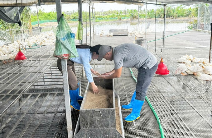 nuoi-vit-tren-san-vua-sach-vua-hieu-qua-kinh-te-222059_230.jpg Cán bộ khuyến nông hướng dẫn kỹ thuật tận tình, cụ thể cho người dân nuôi vịt. Ảnh: Đinh Mười.