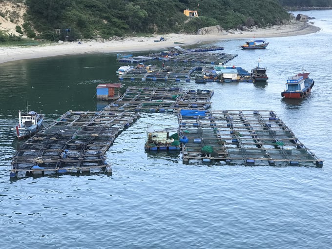 1-154016_774.jpg Lồng bè nuôi trồng thủy sản trong đầm Đề Gi thuộc xã Cát Khánh (huyện Phù Cát, Bình Định). Ảnh: V.Đ.T.