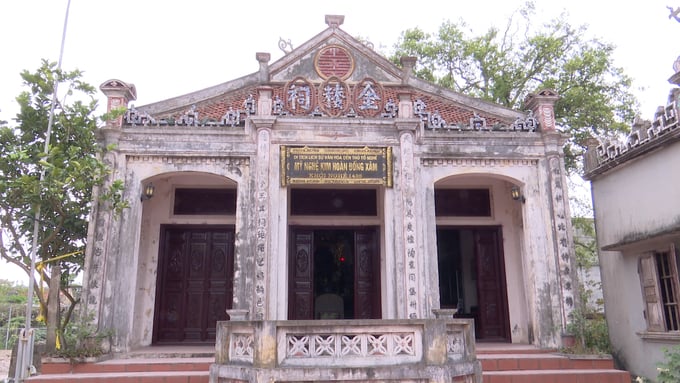 den-dong-xam-085236_145.jpg