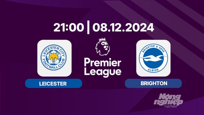 nhan-dinh-truc-tiep-leicester-vs-brighton-21h00-ngay-8-12-160712_102.jpg Trực tiếp Leicester vs Brighton, Ngoại hạng Anh, 21h00 hôm nay 8/12/2024