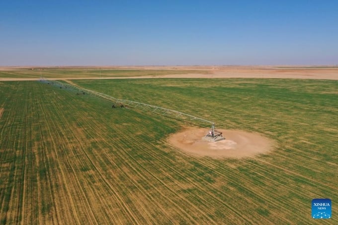 An aerial drone photo taken on Nov 23, 2024 shows farmlands developed after wells were dug by Chinese firm ZPEC in the desert of Aswan province, Egypt. 