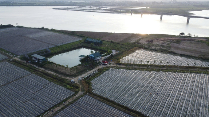 Khai thác tối đa tiềm năng của đất là điều Hợp tác xã Thành Vinh đang làm rất tốt. Ảnh: Việt Khánh. 