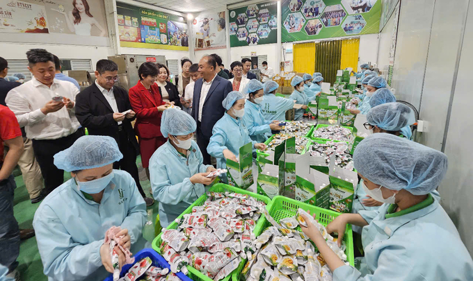 DT Group produced a lot of valueable products from sea grapes. Photo: KS.