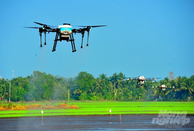 Digital transformation does not simply apply technology to agriculture but also requires changes in thinking, management methods, and production organization. Photo: Le Hoang Vu.