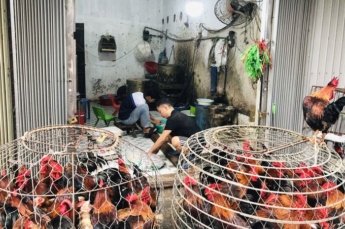 31-170906_73.jpg Trên địa bàn TP. Hà Nội có tổng cộng 718 cơ sở, điểm, hộ giết mổ.