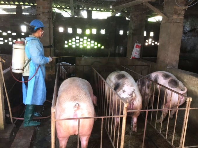 32-170906_49.jpg Trên địa bàn TP. Hà Nội có tổng số 6.736 trang trại chăn nuôi thuộc các quy mô lớn, vừa, nhỏ.