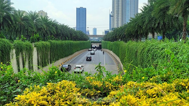 ha-noi-xanh-6337-132809_128.jpg Hà Nội lồng ghép bảo vệ môi trường trong Đề án xây dựng thành phố thông minh.