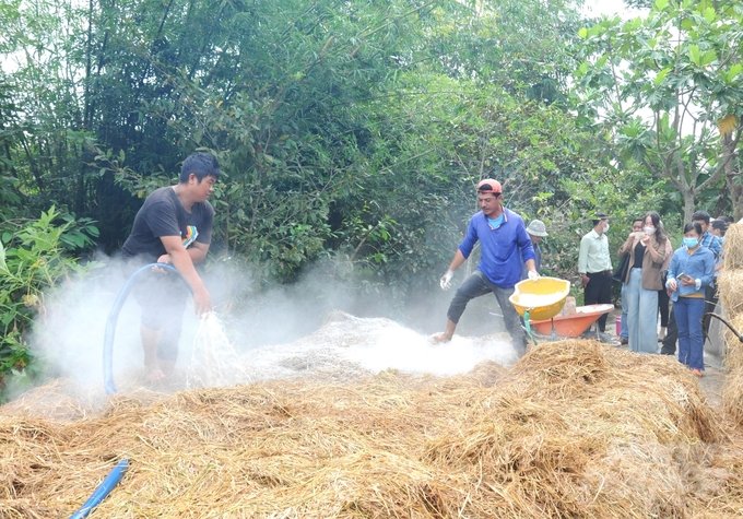 Nông dân Kiên Giang tham gia lớp tập huấn về nông nghiệp tuần hoàn từ rơm, thực hành xử lý rơm trồng nấm, sau đó ủ thành phân hữu cơ trả lại cho đồng ruộng. Ảnh: Trung Chánh.