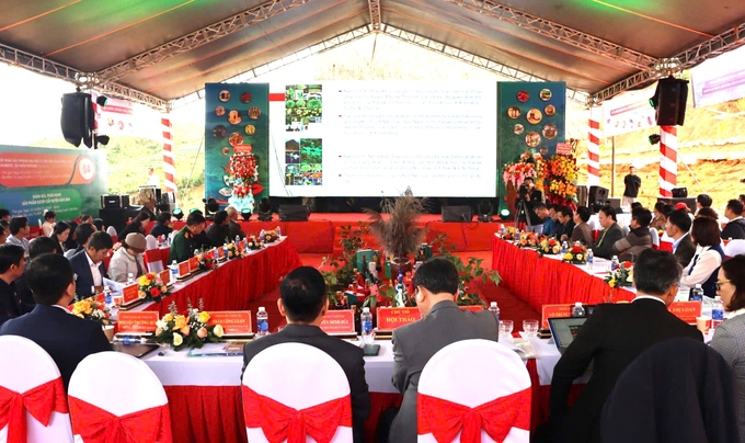 Seminar to promote the development of the Ngoc Linh ginseng brand. Photo: Tuan Anh.