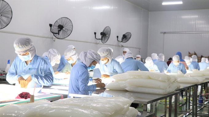 hinh-1-105032_991.jpg Quy trình sản xuất thạch dừa tuân thủ quy trình nghiêm ngặt của Vinacoco.