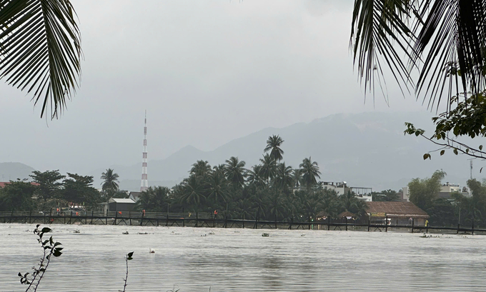 Nước sông Cái Nha Trang đang lên. Ảnh: KS.