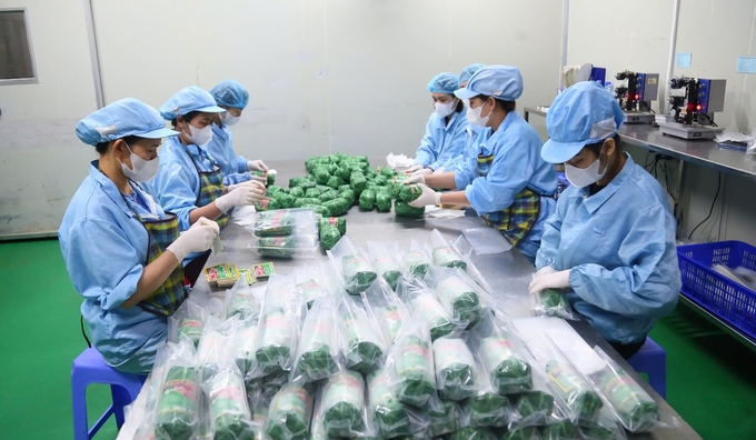 ocop6-123612_849.jpg Các dòng sản phẩm của Công ty CP thực phẩm Tứ Phương là điểm sáng OCOP của Nghệ An. Ảnh: Khánh Linh.