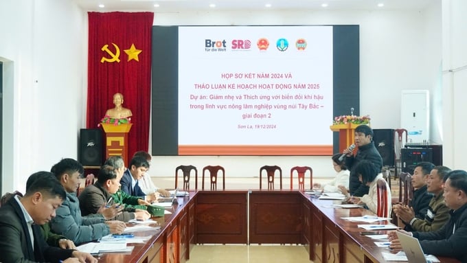 4-115854_392.jpg Dự án 'Giảm nhẹ và thích ứng với biến đổi khí hậu trong lĩnh vực nông lâm nghiệp vùng núi Tây Bắc' bước vào giai đoạn 2. Ảnh: Đức Bình.