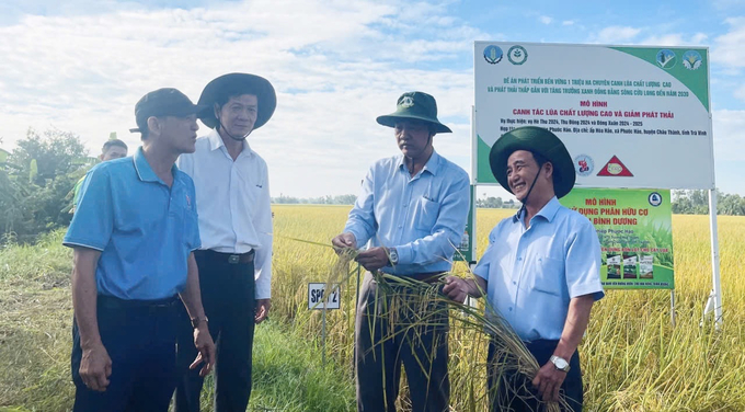 Lãnh đạo Sở NN-PTNT tỉnh Trà Vinh tham quan cánh đồng lúa phát thải thấp. Ảnh: Hồ Thảo.