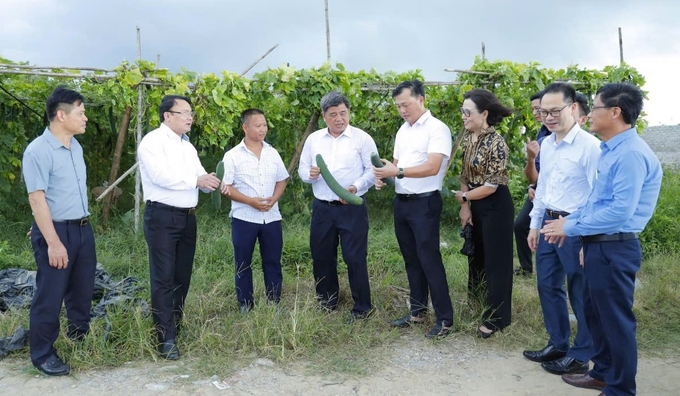 ocop-na2-053900_153.jpg Hợp tác xã nông nghiệp Thành Vinh là điểm sáng trong quá trình xây dựng các chuỗi liên kết. Ảnh: TL.