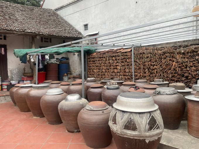 z6171591558349_b3a5b015c20629d2a29fba29414e9b1f-161858_152.jpg Những 'cụ chum' được bảo vệ khỏi mưa đá bởi hệ thống màn che do ông Đăng lắp đặt. Ảnh: Minh Toàn.