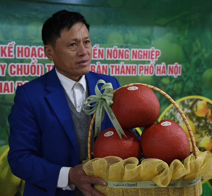 dsc_2006-152428_15.jpg Sản phẩm bưởi đỏ Mê Linh. Ảnh: Dương Đình Tường.