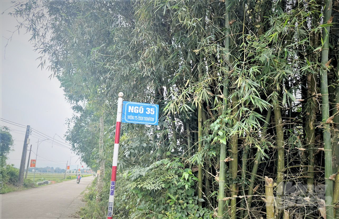 tre5-103702_268-103702.jpg Tre nằm trong khu dân cư kiểu mẫu. Ảnh: Thanh Nga.