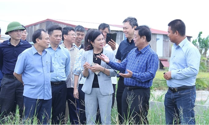 le-minh-hoan-135529_234.jpg Bộ trưởng Lê Minh Hoan thăm vùng sản xuất nông nghiệp. Ảnh: TL.