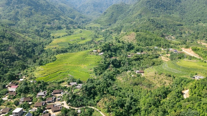 chiem-nguong-ve-dep-me-dam-rung-truc-pu-lau-153001_238.jpg Vẻ đẹp dưới chân dãy núi Phja Bjoóc. Ảnh: Ngọc Tú.