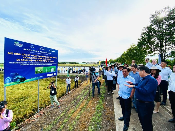 Ông Lê Quốc Thanh, Giám đốc Trung tâm Khuyến nông Quốc gia và Bộ trưởng Lê Minh Hoan kiểm tra mô hình canh tác lúa bền vững ở đồng bằng sông Cửu Long. Ảnh: Lê Hoàng Vũ.