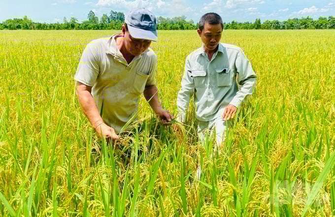 Sản xuất nông, lâm nghiệp và thủy sản có năng suất lao động tăng trưởng cao nhưng giá trị tuyệt đối tương đối thấp. Ảnh: Lê Hoàng Vũ.