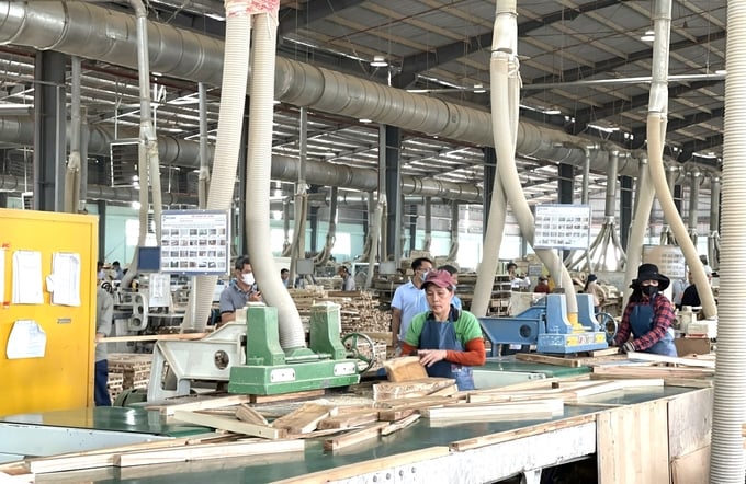 2-145303_138.jpg Ngành gỗ Bình Định đề ra chiến lược đa dạng hóa thị trường, khách hàng để năm 2025 tiếp tục thắng lợi. Ảnh: V.Đ.T.