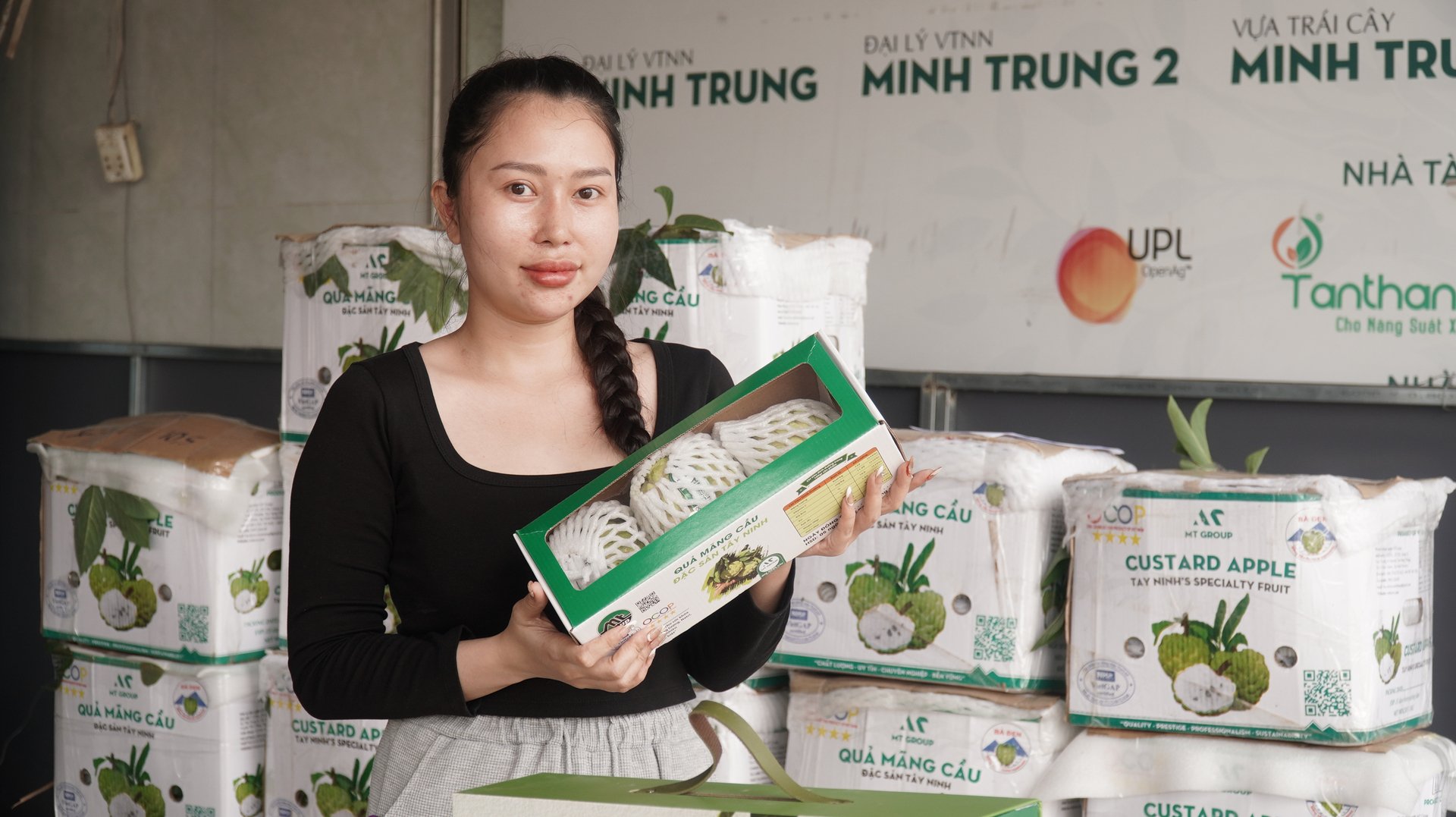 HTX Minh Trung chuẩn bị mãng cầu phục vụ đại lễ Phật đản 2025. Ảnh: Trần Trung. HTX Minh Trung chuẩn bị mãng cầu phục vụ đại lễ Phật đản 2025. Ảnh: Trần Trung.