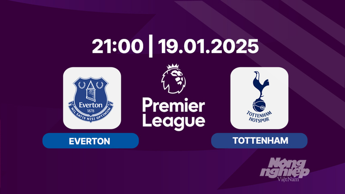 nhan-dinh-truc-tiep-everton-vs-tottenham-21h00-ngay-19-1-133341_286.jpg Trực tiếp bóng đá Everton vs Tottenham, Ngoại hạng Anh, 21h00 hôm nay 19/1/2025