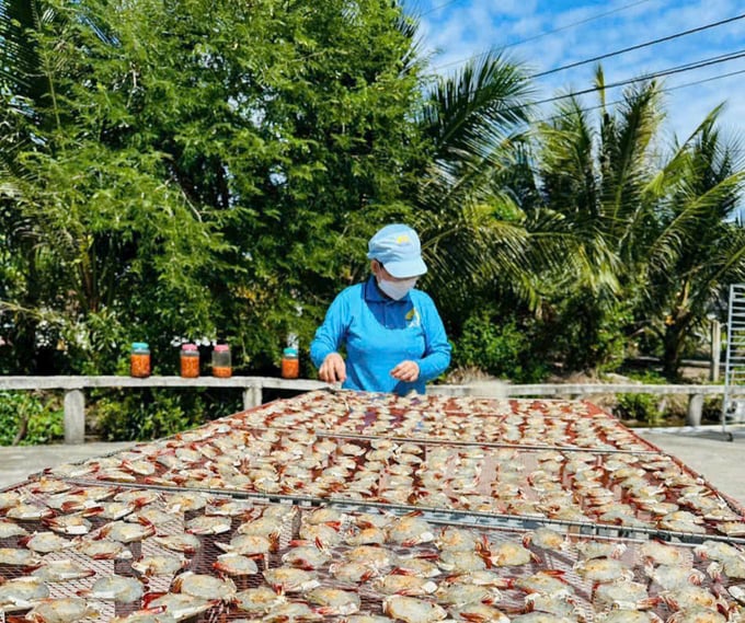 z6216239646712_adafeae0a42b78998e58eafbed113dcb-061832_946-061832.jpg Nhiều sản phẩm tôm, cá khô được công nhận sản phẩm OCOP 3 - 4 sao. Ảnh: Trọng Linh.