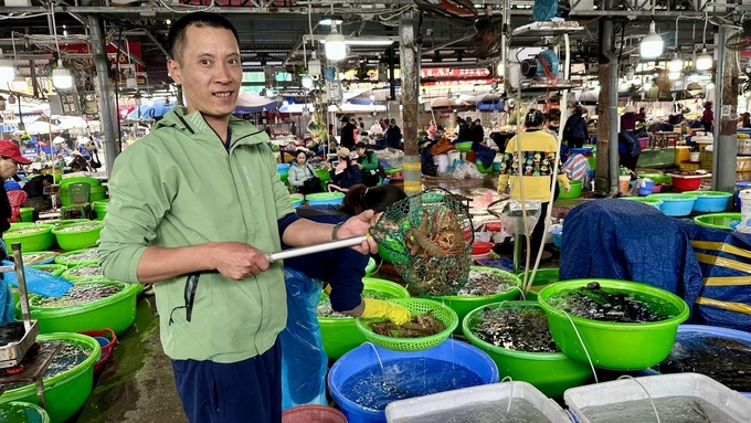 z6262415398687_6833c12bd3904f944037ea90a98d4be1-133617_987.jpg Giá hải sản không chênh lệch nhiều so với ngày thường. Ảnh: Thanh Phương.