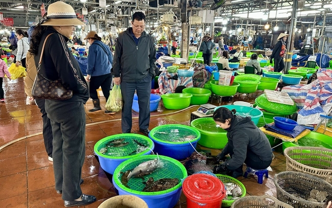 z6262430495892_10308d24ddf278b413acf60e8ba180fd-133617_296.jpg Lượng khách mua hải sản sụt giảm hơn so với mọi năm. Ảnh: Thanh Phương.