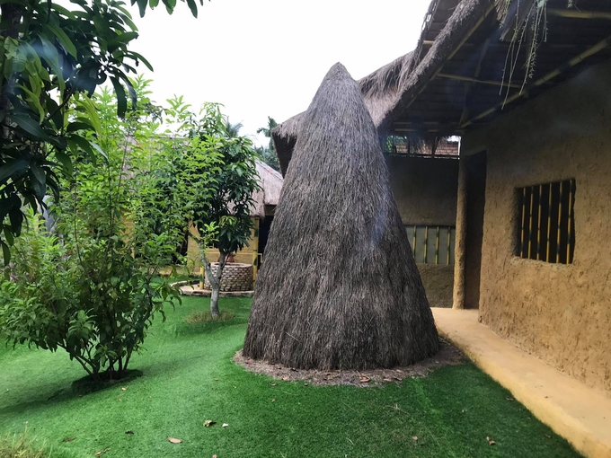 118462792_269779377427691_3925165683740748390_n-215218_880.jpg Cây rơm dầu dãi mưa nắng bên hiên nhà.