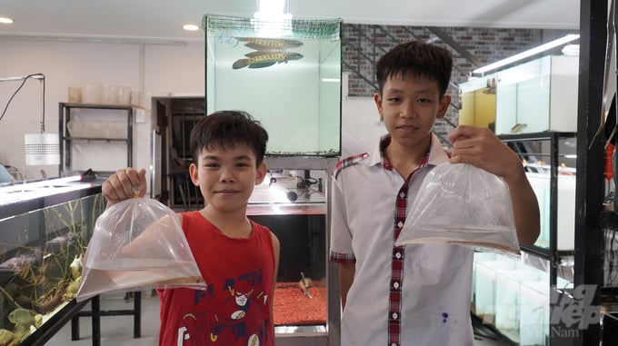 dsc06636-114945_339-114945.jpg Cá cảnh luôn là thú chơi từ bao đời nay của người dân nhất là vào những dịp Tết đến xuân về. Ảnh: Trần Phi.